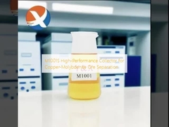 کلکتور با عملکرد بالا M1001S برای جداسازی سنگ معدن مس-مولیبدن